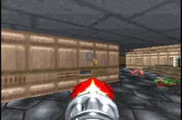 Doom Minigun